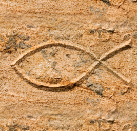 schaeffer_szeretet_blog