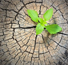 lucado_kegyelem_blog