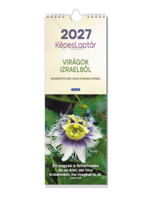 Kepeslapos_allo_2027