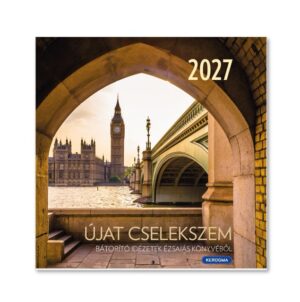 Kicsi_tuzott2027_vintage