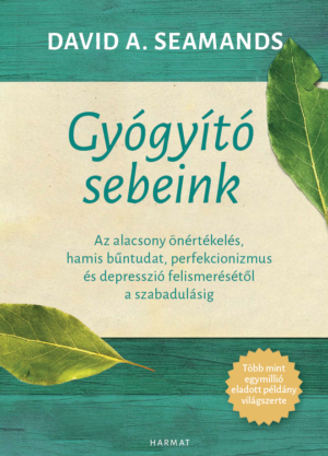 Gyogyito_sebeink_borito
